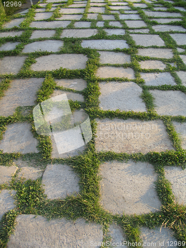 Image of Green Flagstones