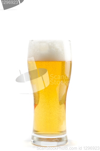 Image of Glass of beer