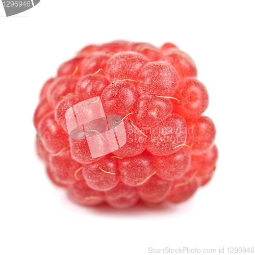 Image of fresh raspberry