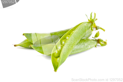 Image of Ripe pea