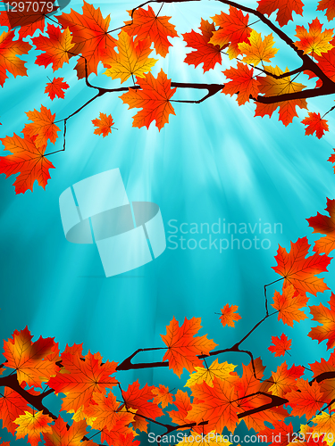 Image of Red and yellow leaves against a blue sky. EPS 8