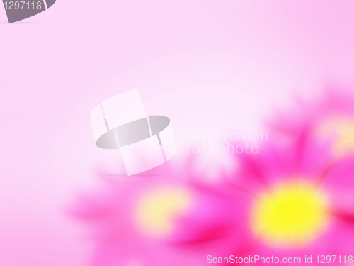 Image of abstract flowers pink background