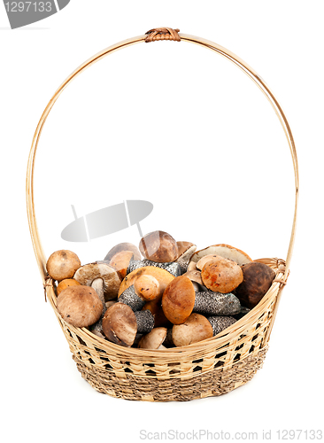 Image of Basket with mushrooms
