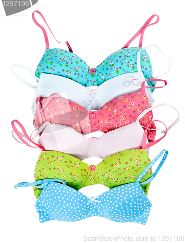 Image of six color cotton bra 