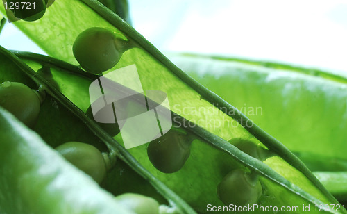 Image of green peas3