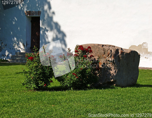 Image of Roses and a stone