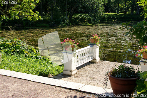 Image of Way to a pond