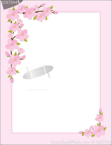 Image of Apple Blossom Border