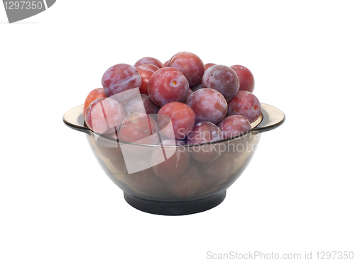 Image of Crop of plums.