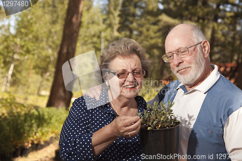 Image of Attractive Senior Couple Overlooking Potted Plants