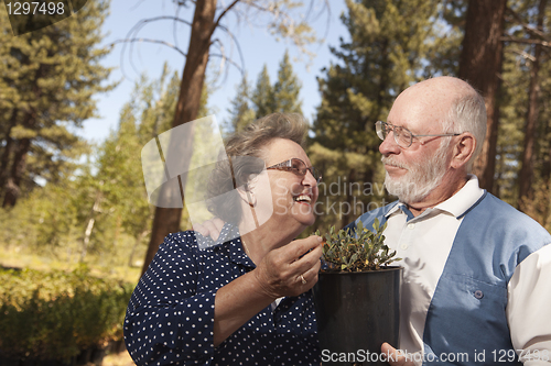 Image of Attractive Senior Couple Overlooking Potted Plants