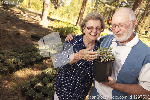 Image of Attractive Senior Couple Overlooking Potted Plants