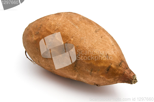 Image of Sweet Potato
