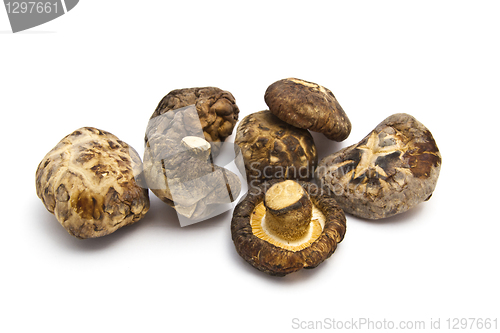 Image of Dried mushrooms