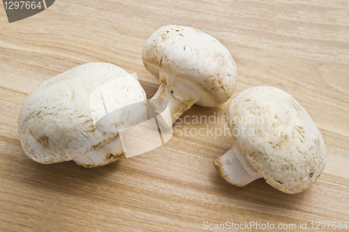 Image of Fresh mushroom