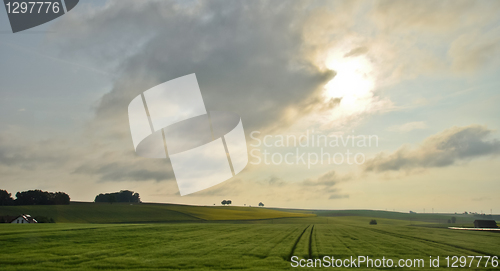 Image of landscape 