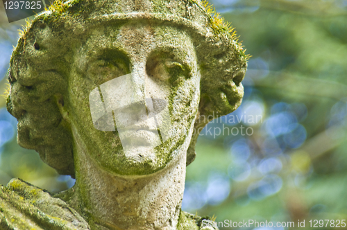 Image of Sorrow
