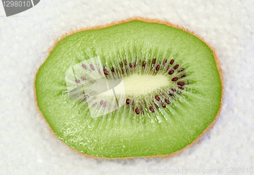 Image of kiwi