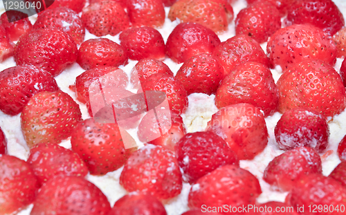 Image of dessert 