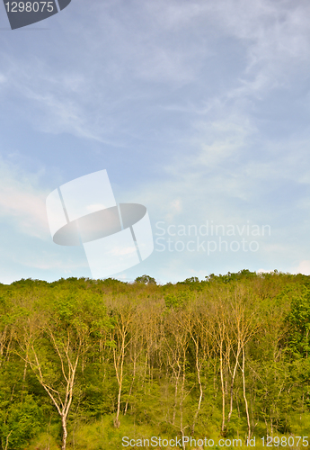 Image of landscape 