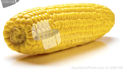 Image of Corn