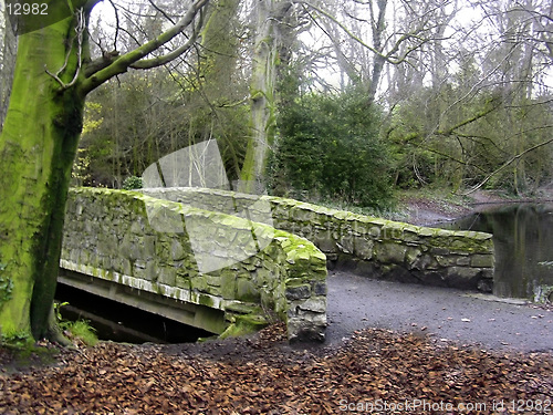 Image of Forgotten Bridge