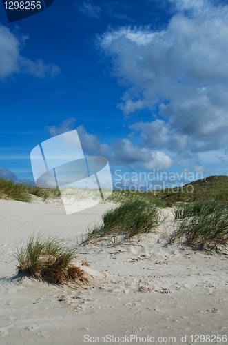 Image of beach scene with blue sky