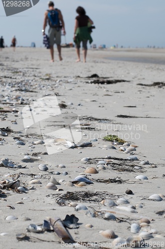 Image of beach scene