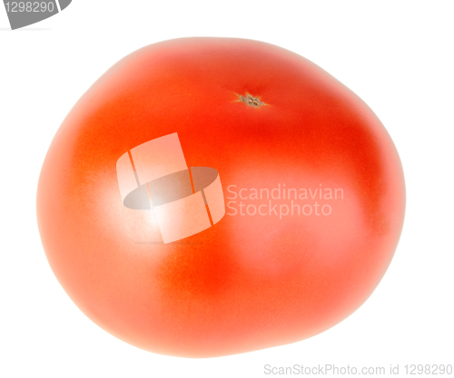 Image of One ripe red tomato