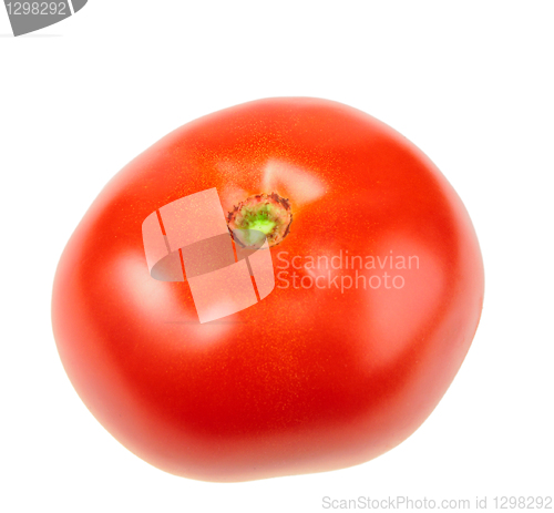 Image of Single ripe red tomato