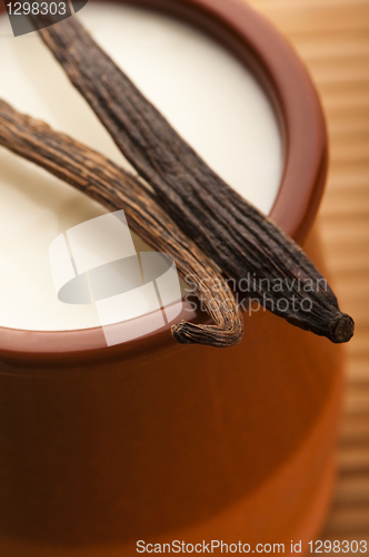 Image of Sweet vanilla pudding dessert 