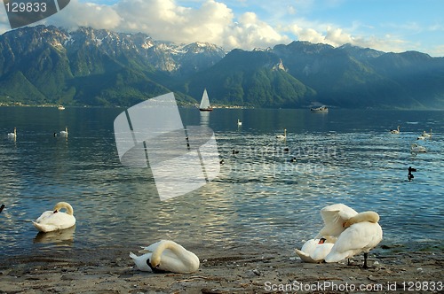 Image of Lake Leman/Geneve