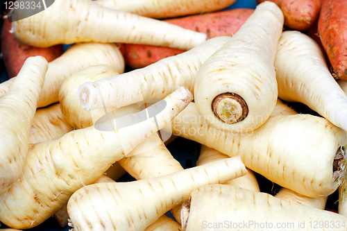Image of Parsnip pile
