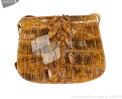 Image of Crocodile bag