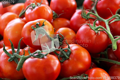 Image of Tomatoes