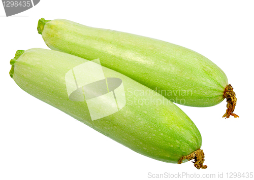 Image of Two ripe green zucchini with dry flowers