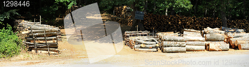 Image of Lumber log