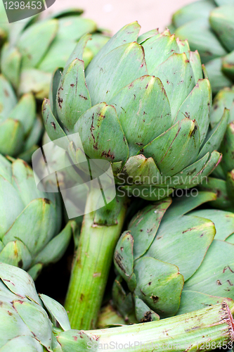 Image of Artichoke