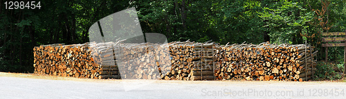 Image of Fire wood