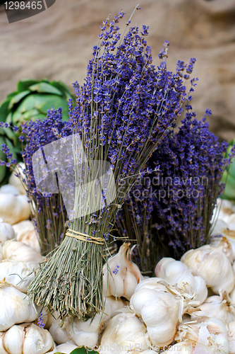 Image of Lavender