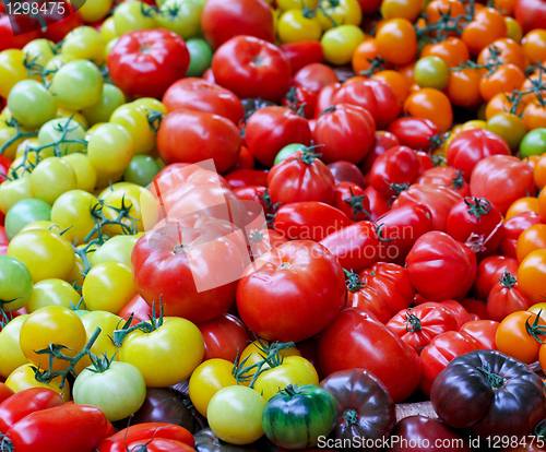 Image of Tomato assortment