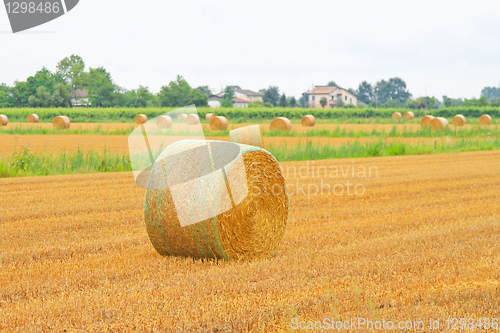 Image of Rolling haystack