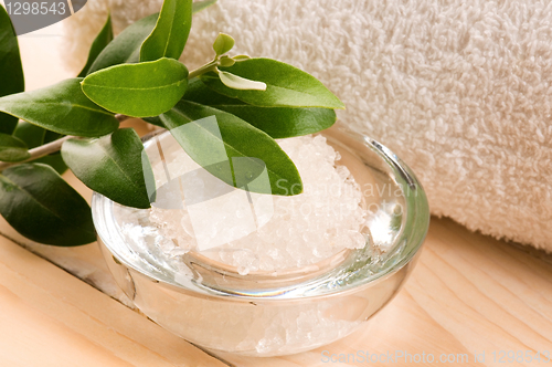 Image of Sea Salt With Fresh Olive Branch. Spa And Wellness 