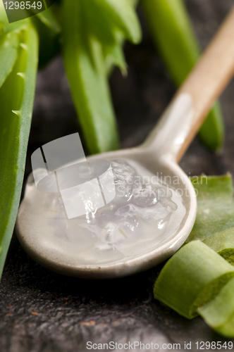 Image of aloe vera juice with fresh leaves