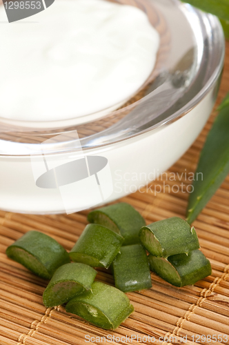 Image of aloe vera - leaves and face cream