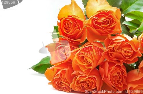 Image of Roses