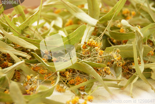 Image of Herbal tea