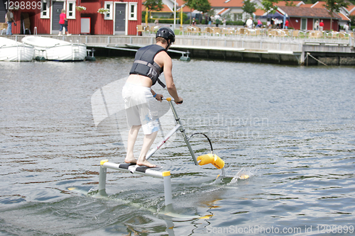 Image of Water skipper