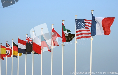 Image of Flags