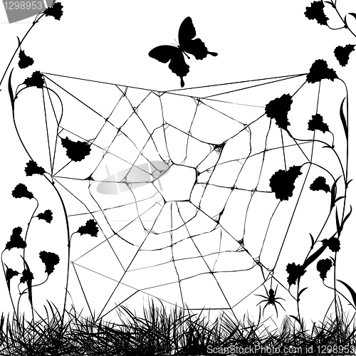 Image of Grungy web spider